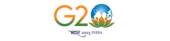 G20